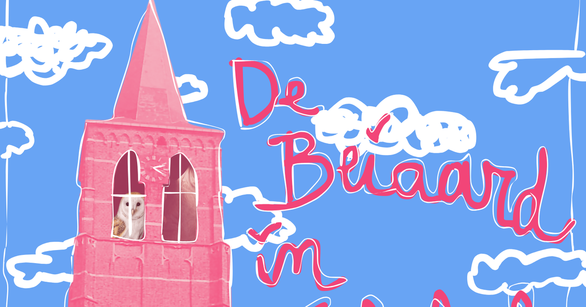 Tinneke Van Ransbeek — De beiaard in vogelvlucht | CC De Adelberg