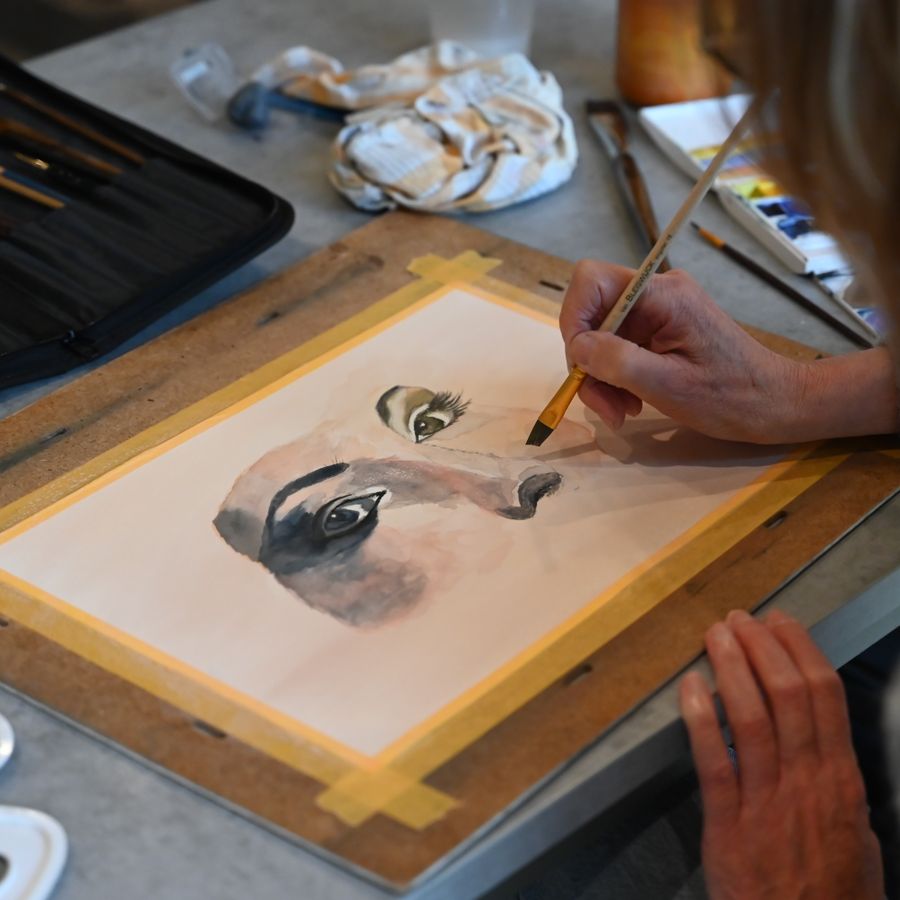 Creatieve vaardigheden